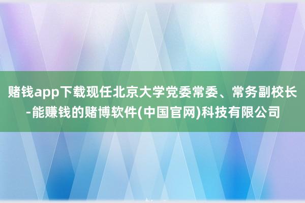 赌钱app下载现任北京大学党委常委、常务副校长-能赚钱的赌博软件(中国官网)科技有限公司